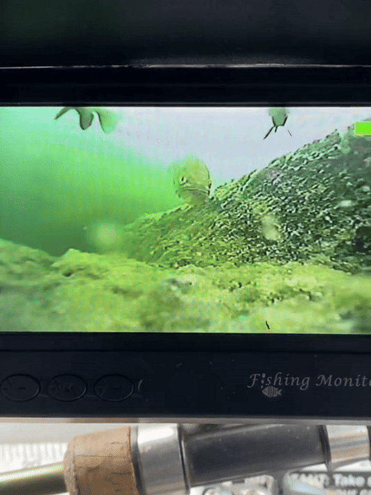 AquaVUE ~ Underwater Fishing Camera