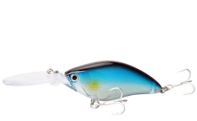ALLBLUE Deep Diving Crankbait - Tackling The Water