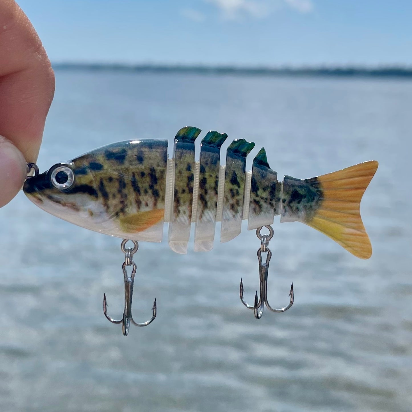 Swim Warrior PRO Series Swimbait