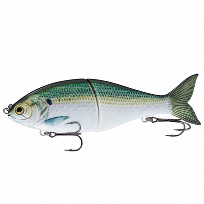 Master Glidebait