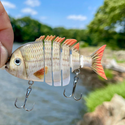 Fin-SANITY Bluegill Lineup