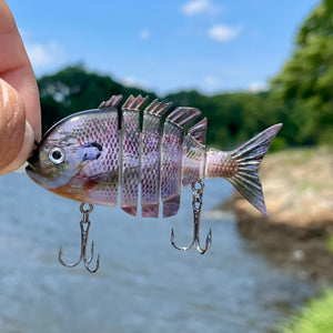 Fin-SANITY Bluegill Lineup