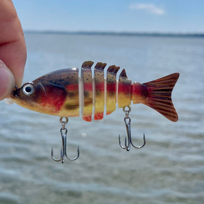 Swim Warrior PRO Series Swimbait