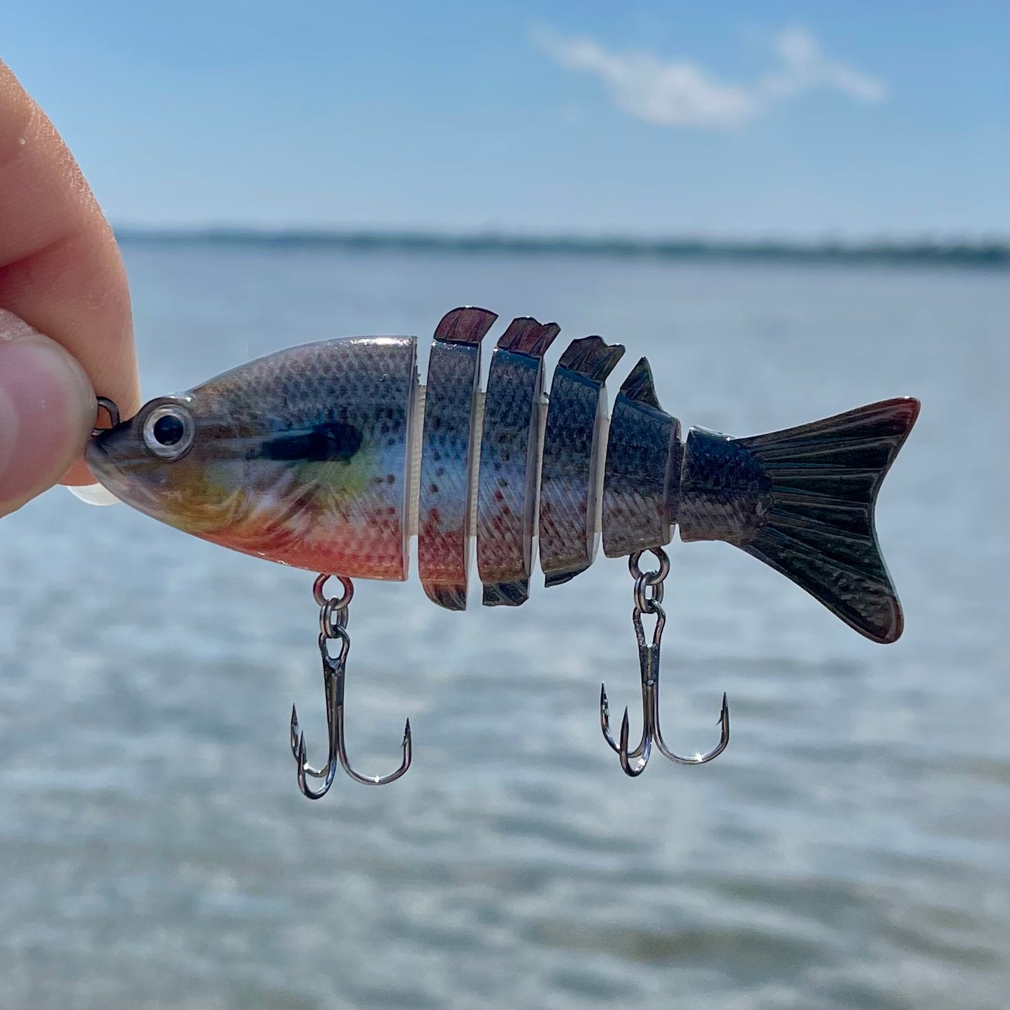 Swim Warrior PRO Series Swimbait