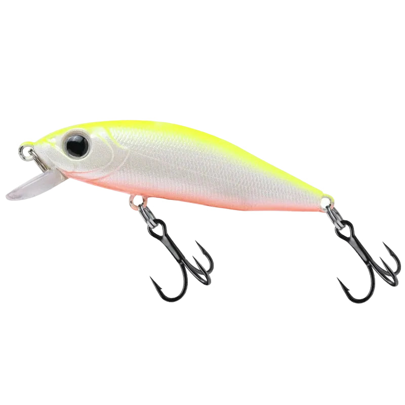 Outlaw Minnow