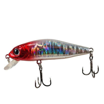 Outlaw Minnow