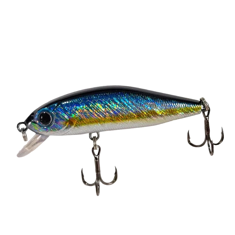 Outlaw Minnow