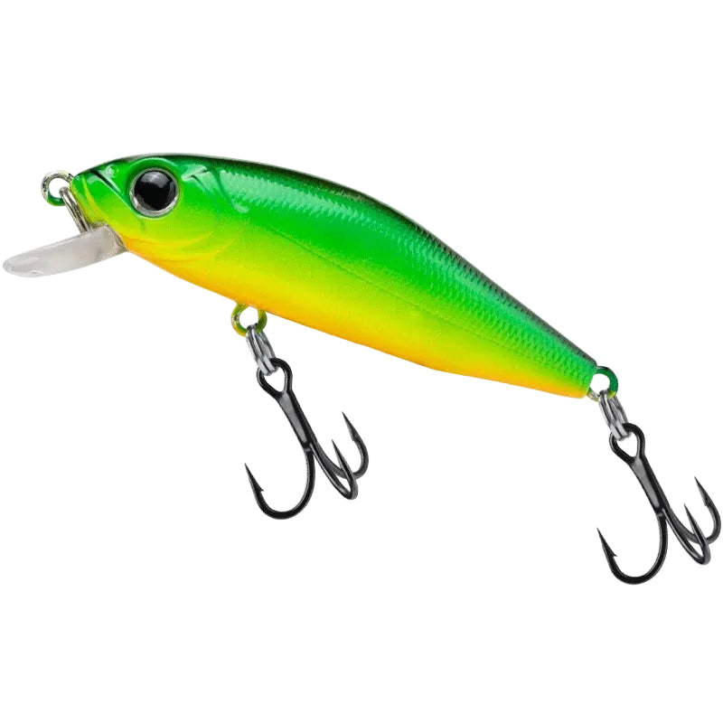 Outlaw Minnow