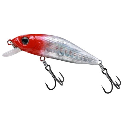 Outlaw Minnow