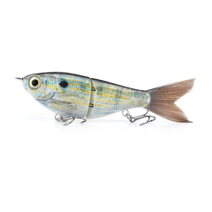 Wayward Glidebait