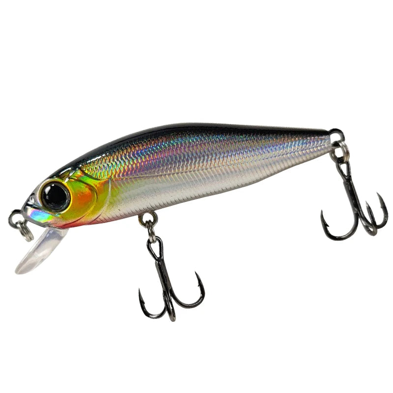 Outlaw Minnow