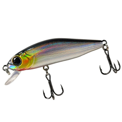 Outlaw Minnow