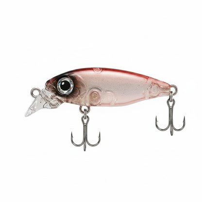 Hikari Minnow