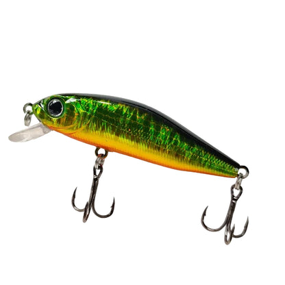 Outlaw Minnow