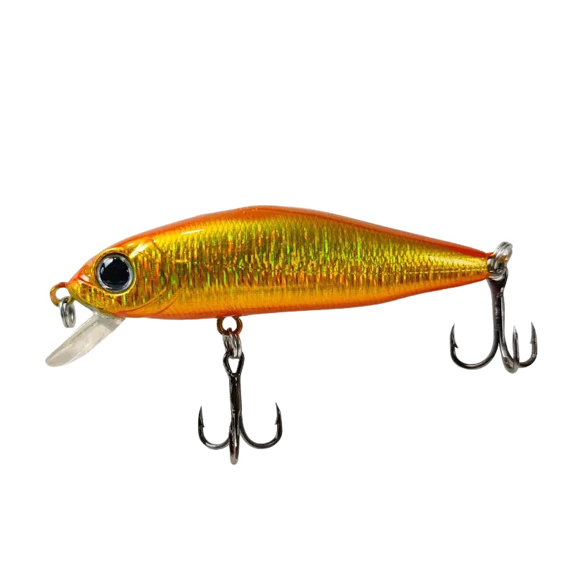 Outlaw Minnow