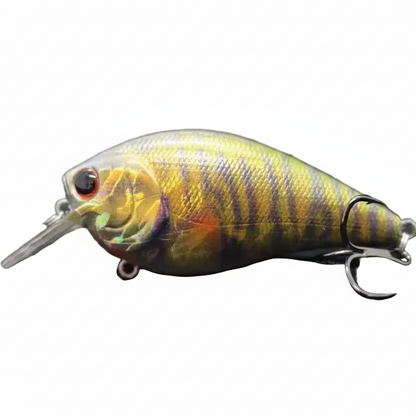 FeralFin Squarebill Crankbait