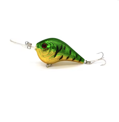 Depth Raider CrankBait