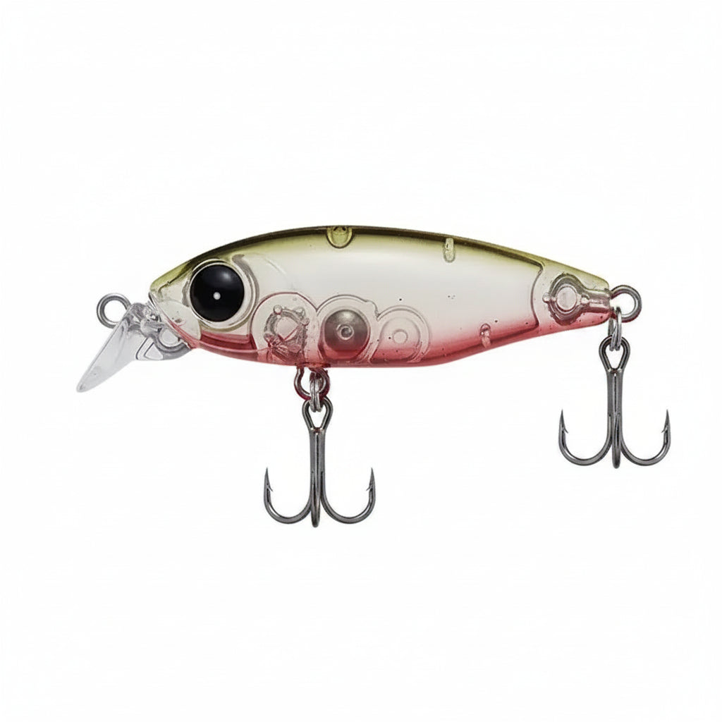 Hikari Minnow