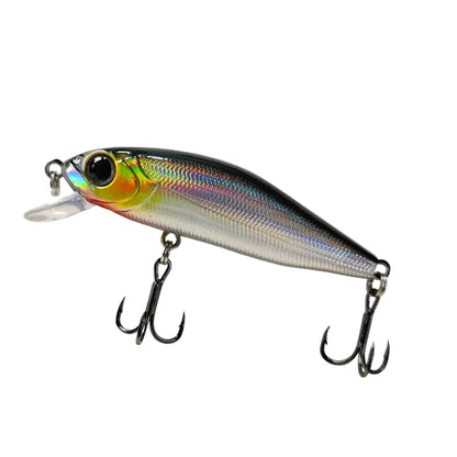 Outlaw Minnow
