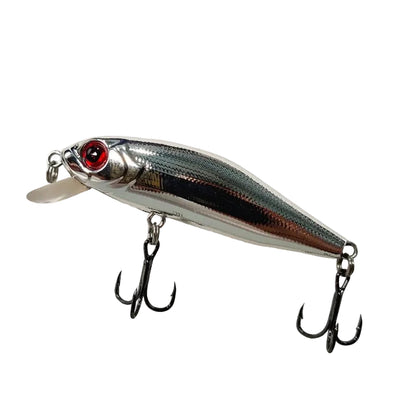 Outlaw Minnow