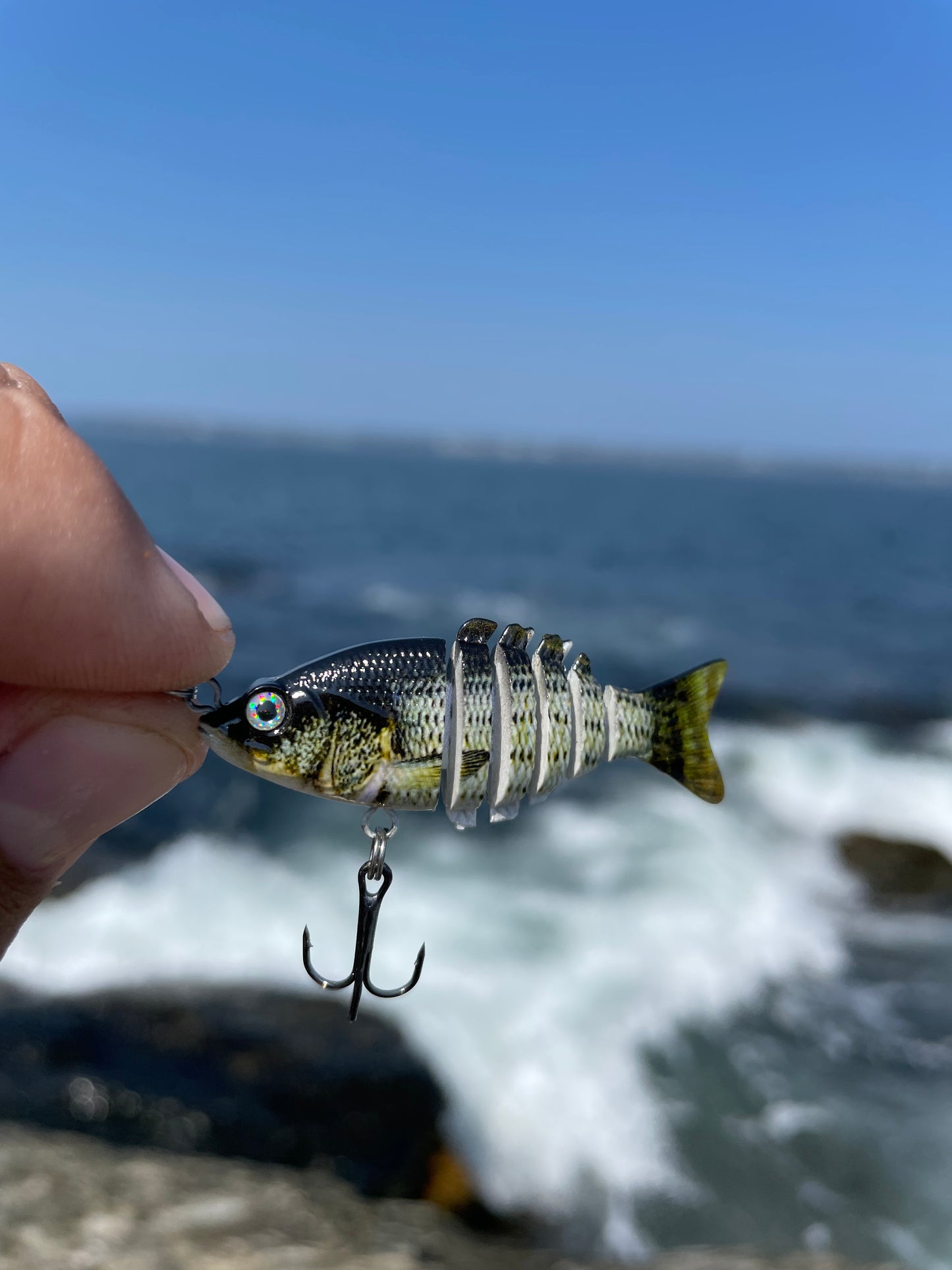 Swim Warrior Series Swimbait