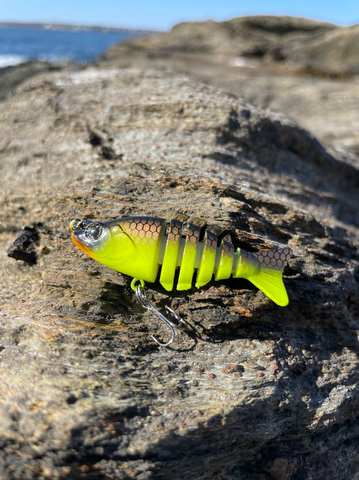 Swim Warrior Series Swimbait *Limited Editions