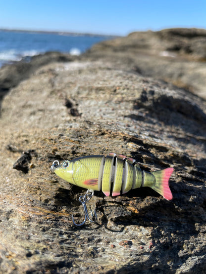 Swim Warrior Series Swimbait *Limited Editions