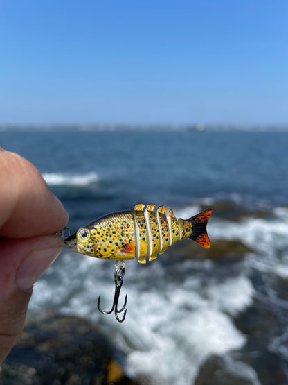 Swim Warrior Series Swimbait