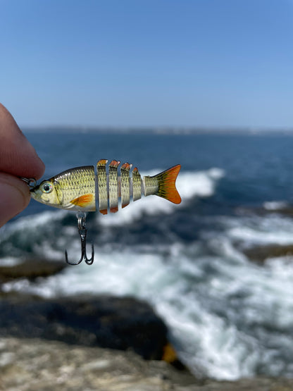 Swim Warrior Series Swimbait