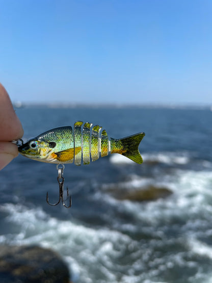 Swim Warrior Series Swimbait