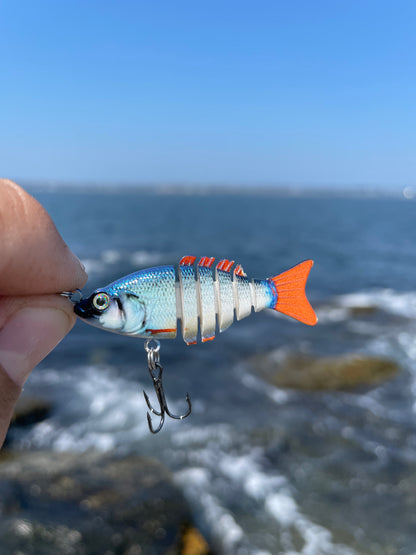 Swim Warrior Series Swimbait