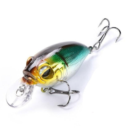 Rock Dancer Crankbait