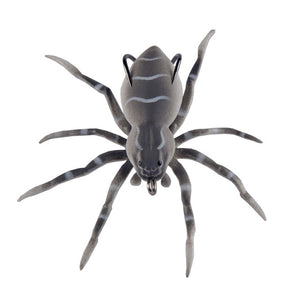 Mondo Spider – Tackling The Water