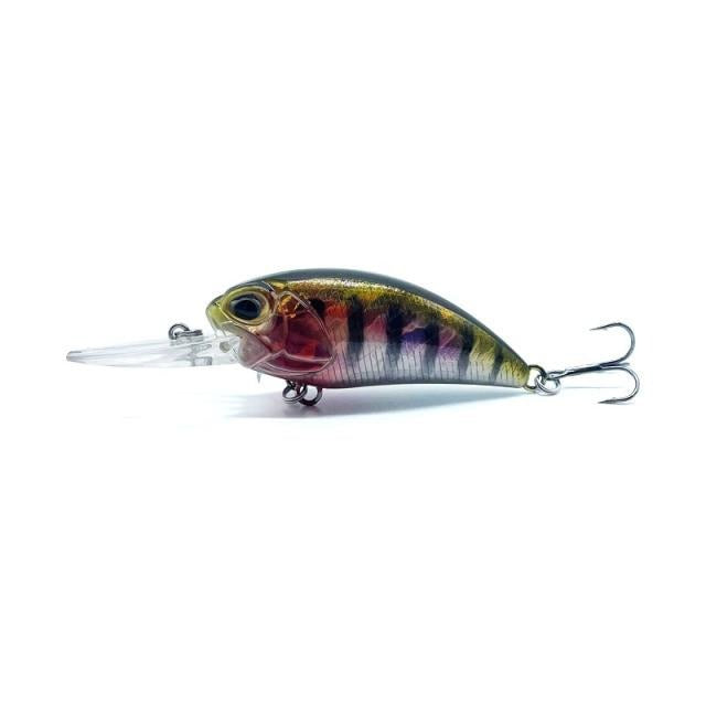 E-FISH-ency Crankbait