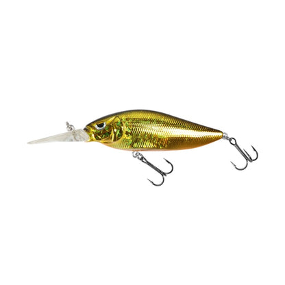 Aggressor Jerkbait