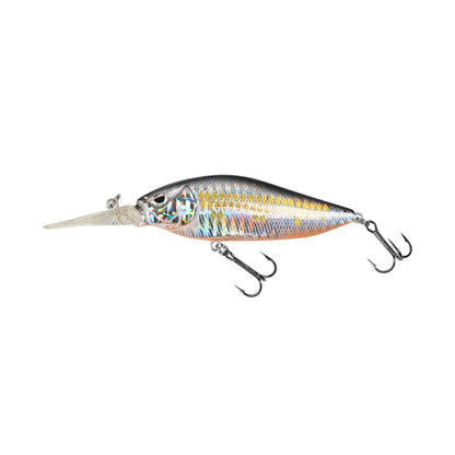 Aggressor Jerkbait