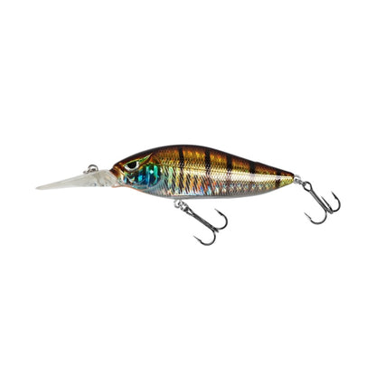 Aggressor Jerkbait