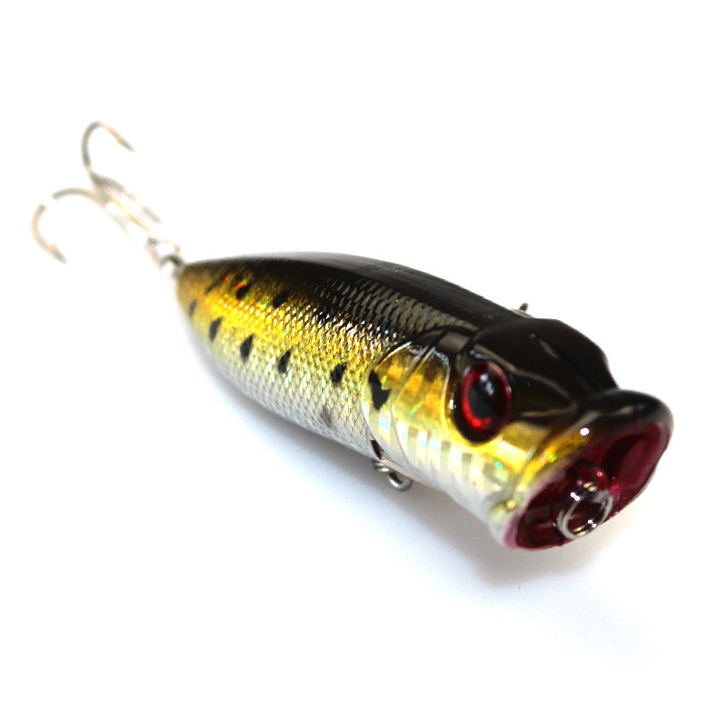 Topwater Popper - Tackling The Water