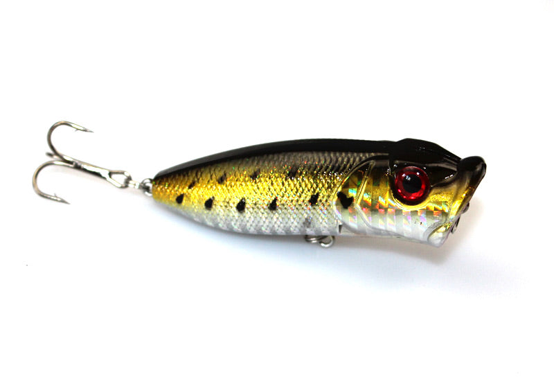 Topwater Popper - Tackling The Water