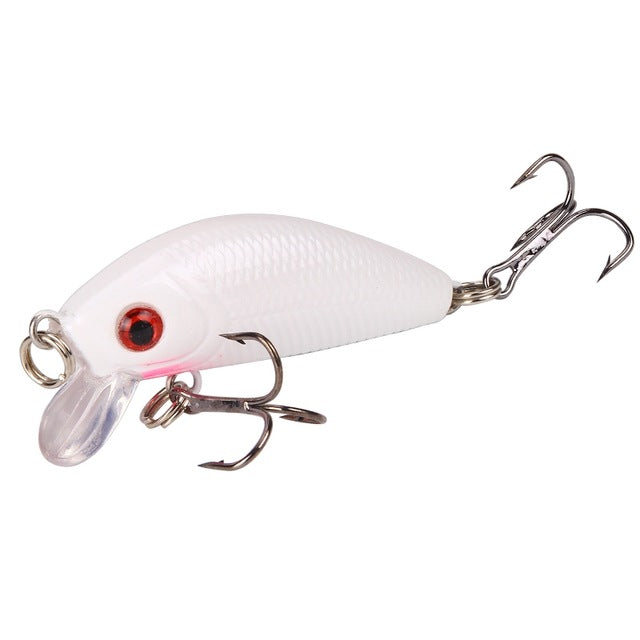 SeaPesca Mini Crankbait - Tackling The Water