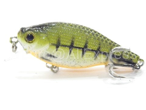 wLure Flat Body Mini Crankbait - Tackling The Water