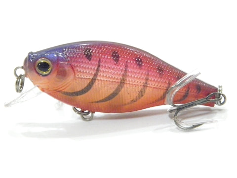 wLure Flat Body Mini Crankbait - Tackling The Water